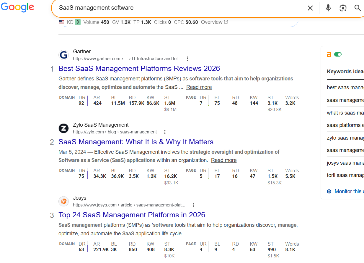manuel SERP analysis on Google